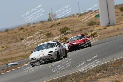 media/May-03-2025-Lucky Dog Racing (Sat) [[206de64b9d]]/Turn 6 (150pm-230pm)/